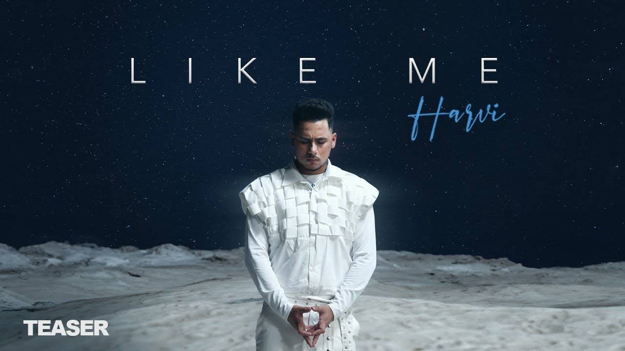 Like Me Lyrics – Harvi Punjabi Song 2024