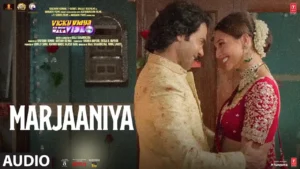 Marjaaneya Lyrics – Varun Jain ,Sachin-Jigar 2024