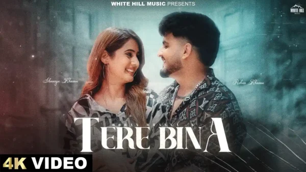 Tere Bina Lyrics - Rohan Khanna | New Punjabi Song 2024