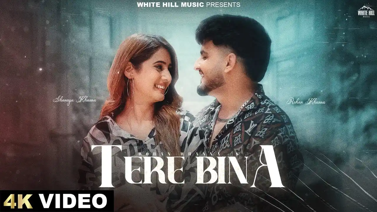 Tere Bina Lyrics – Rohan Khanna | New Punjabi Song 2024
