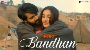 Bandhan Lyrics - Vishal Mishra, Palak M, Mithoon | Vanvaas 2024