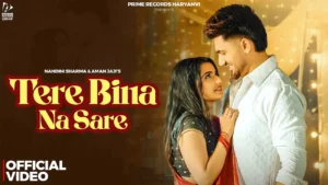 Tere Bina Na Sare Lyrics - Nandini Sharma | New Haryanvi Song 2024