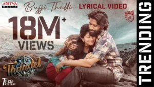 Bujji Thalli Lyrics - Javed Ali, | Naga Chaitanya, Sai Pallavi 2024