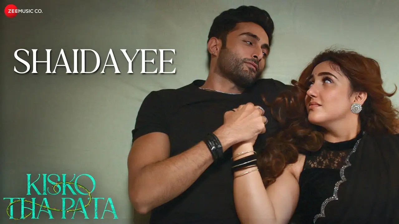 Shaidayee Lyrics – Suvarna Tiwari, Ashnoor K | Kisko Tha Pata 2024
