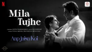 Mila Tujhe Lyrics - Vishal Mishra, Prateeksha Srivastava 2025