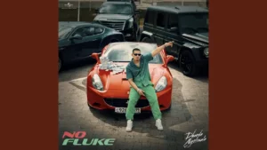 No Fluke Lyrics - Dhanda Nyoliwala 2025