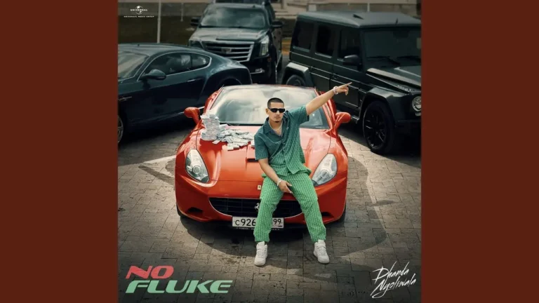 No Fluke Lyrics - Dhanda Nyoliwala 2025
