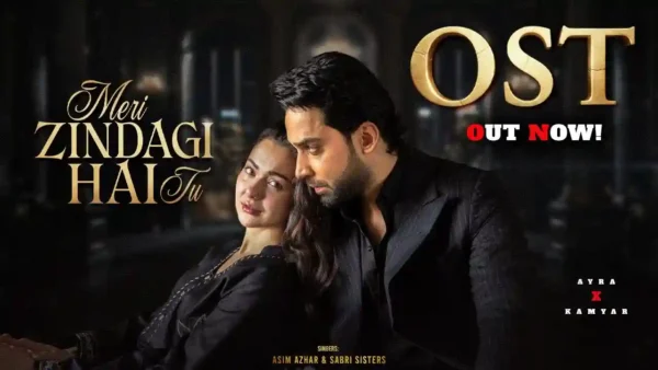 Meri Zindagi Hai Tu LYrics - Asim Azhar 2025