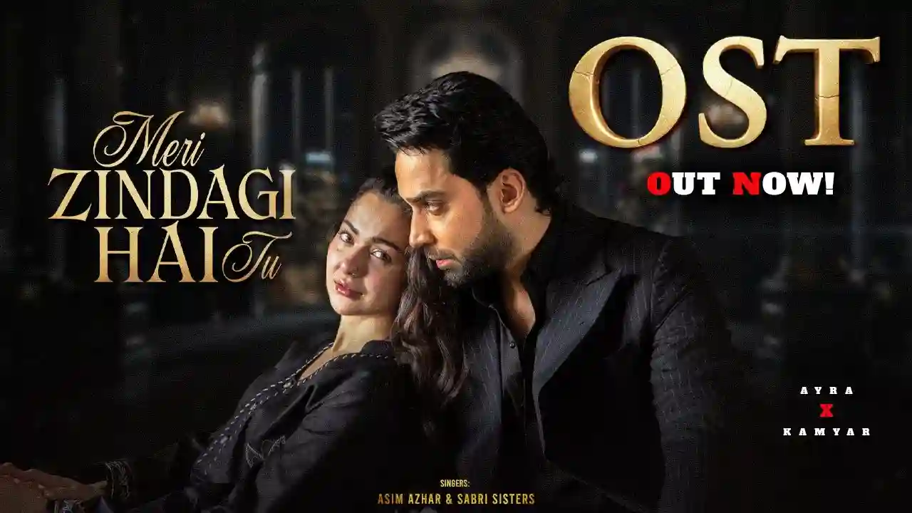 Meri Zindagi Hai Tu LYrics – Asim Azhar 2025